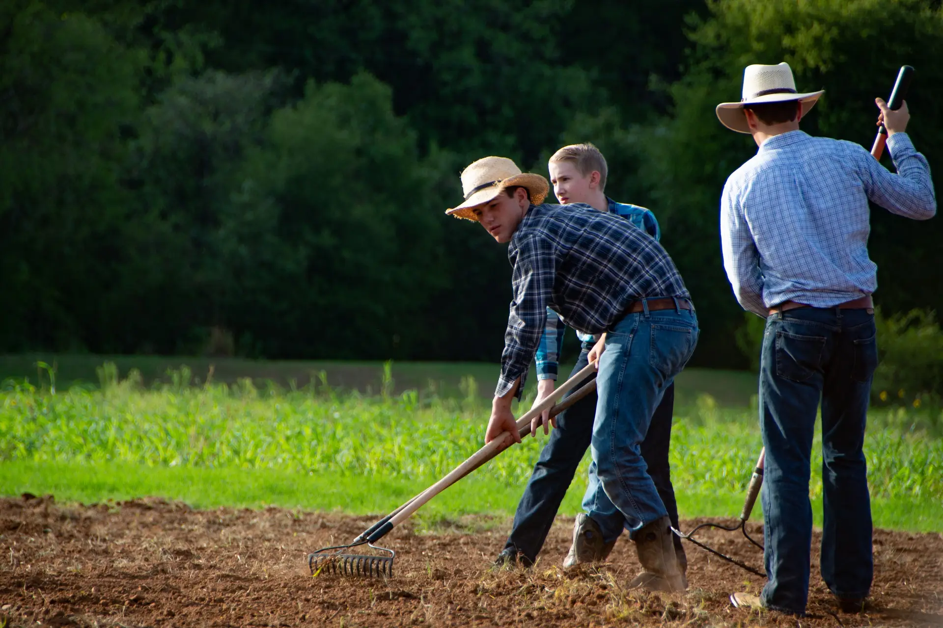 Learning to grow food